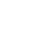 survey